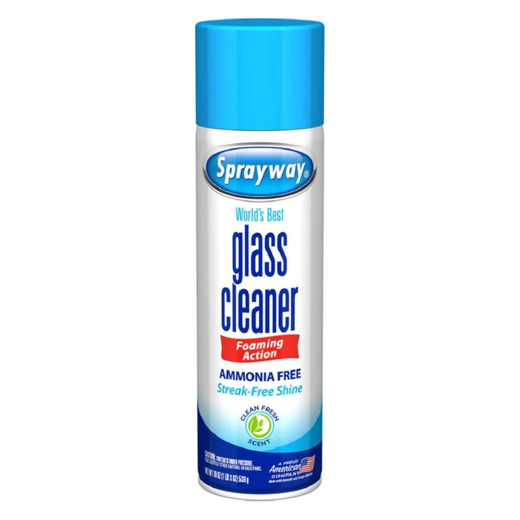 Sprayway Glass Cleaner (19 oz)