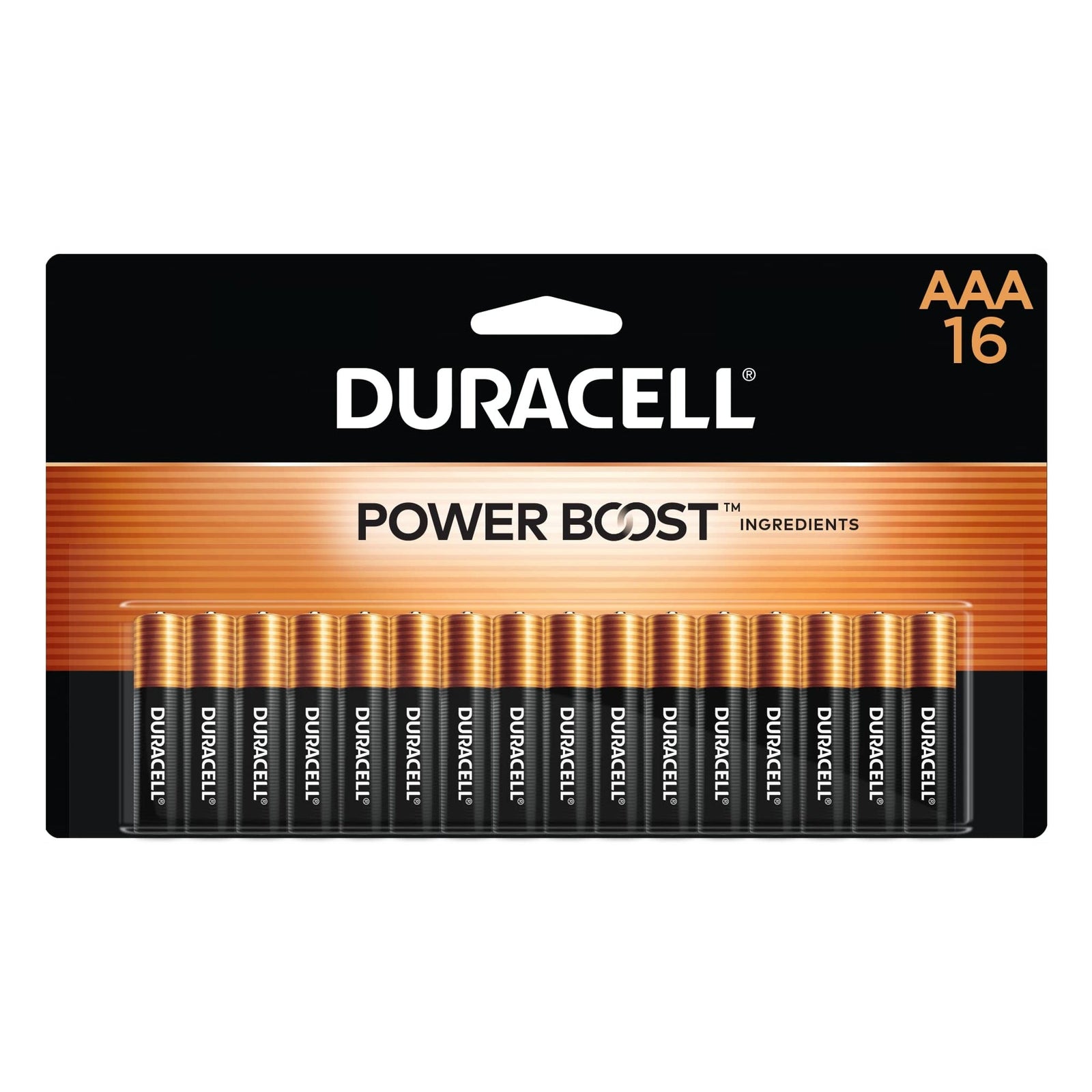Duracell AAA Batteries (16 Count)