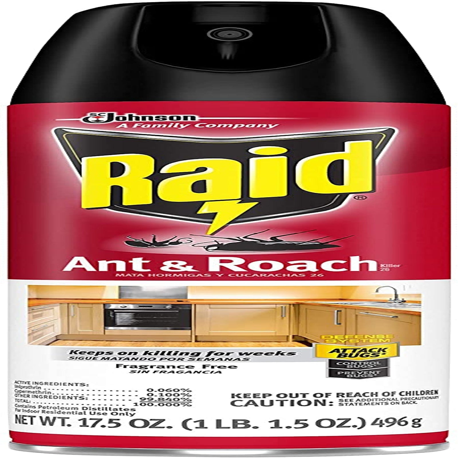 Raid Ant and Roach Killer (17.5 oz)