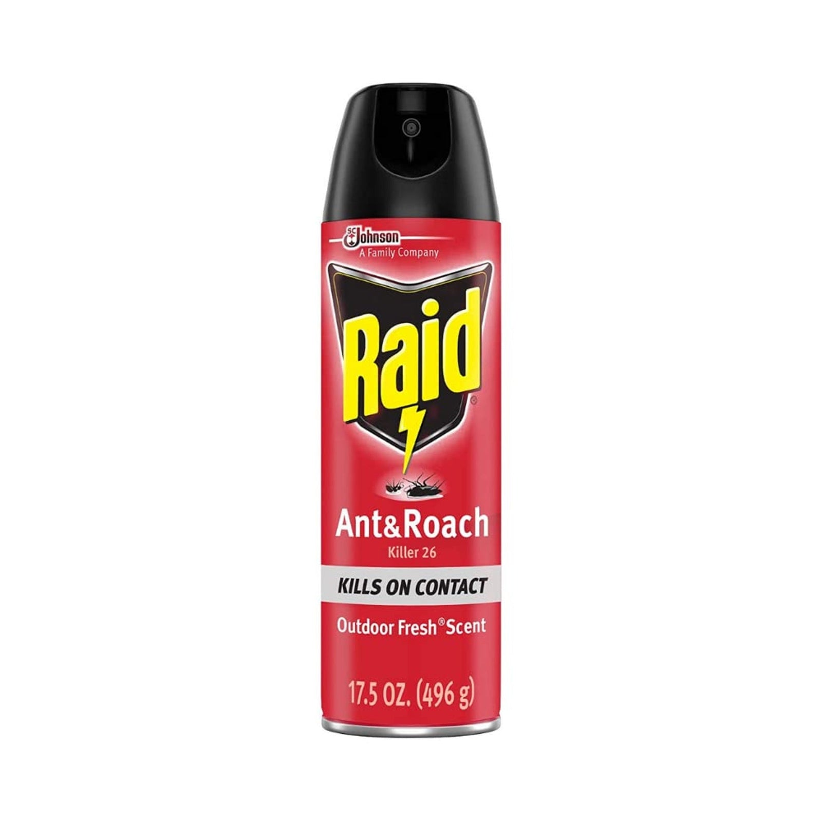 Raid Ant & Roach Killer Outdoor Fresh (17.5 oz)