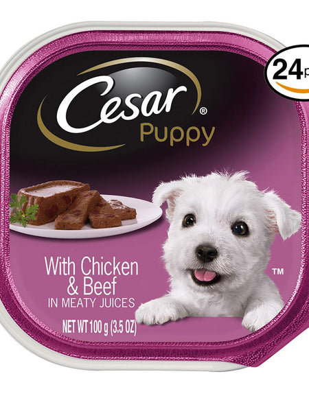 Cesar Puppy Food Chicken & Beef (3.5 oz)