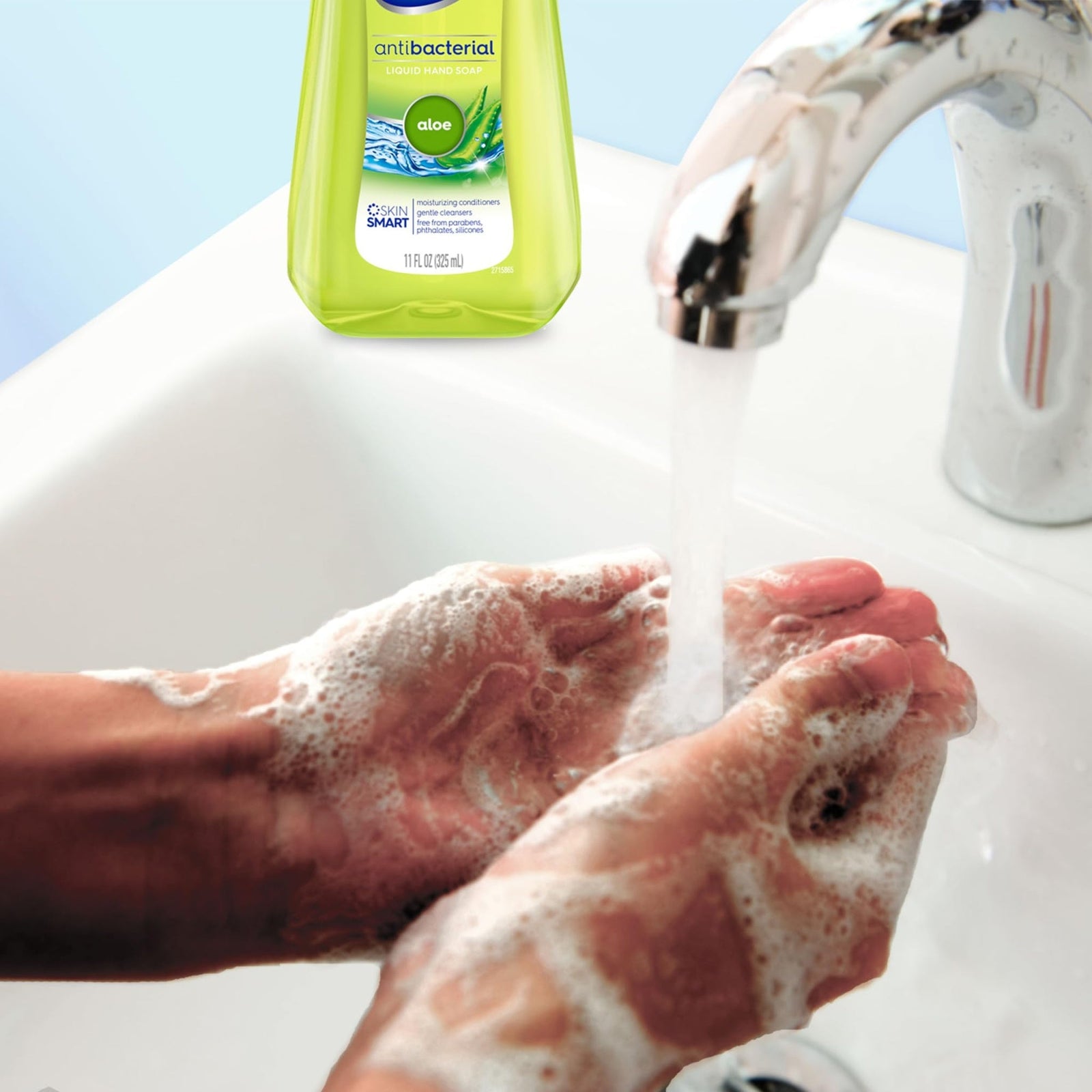 Dial Antibacterial Hand Soap Aloe (11 oz, 12 Pack)