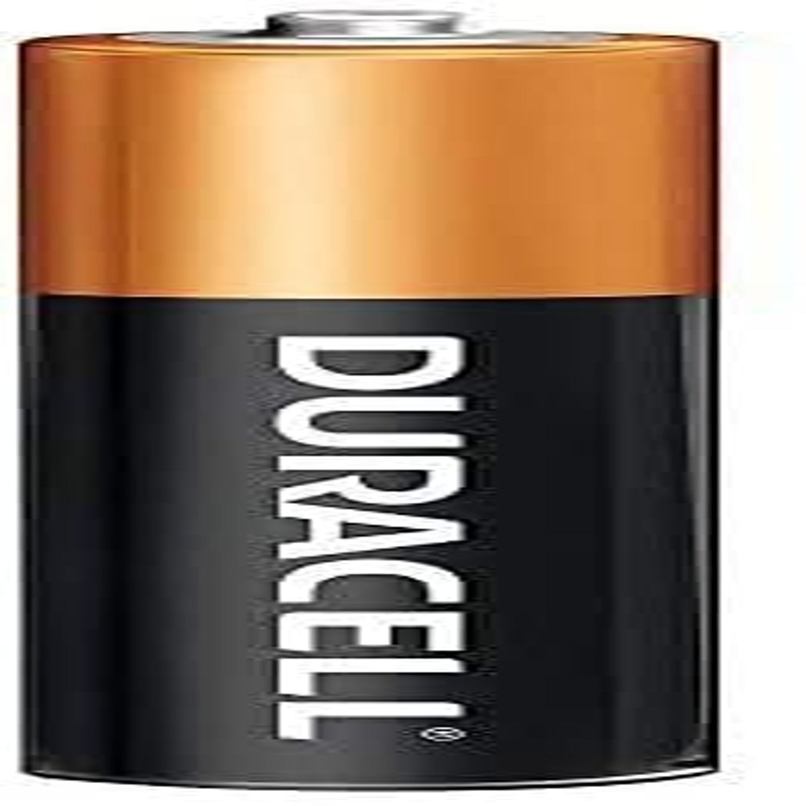 Duracell CopperTop AA Batteries (multiple ct)