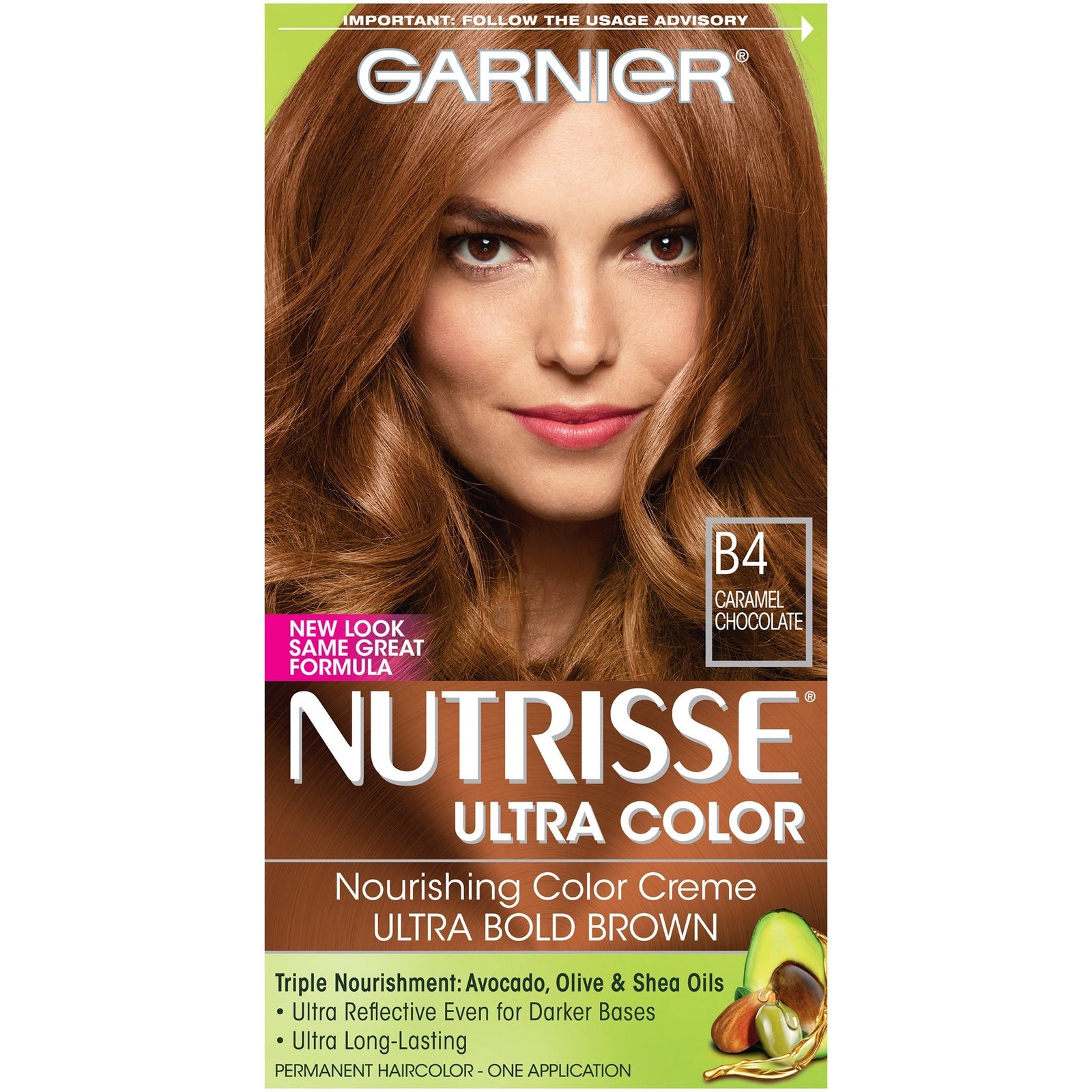 Garnier Nutrisse Hair Color B4 Caramel Chocolate