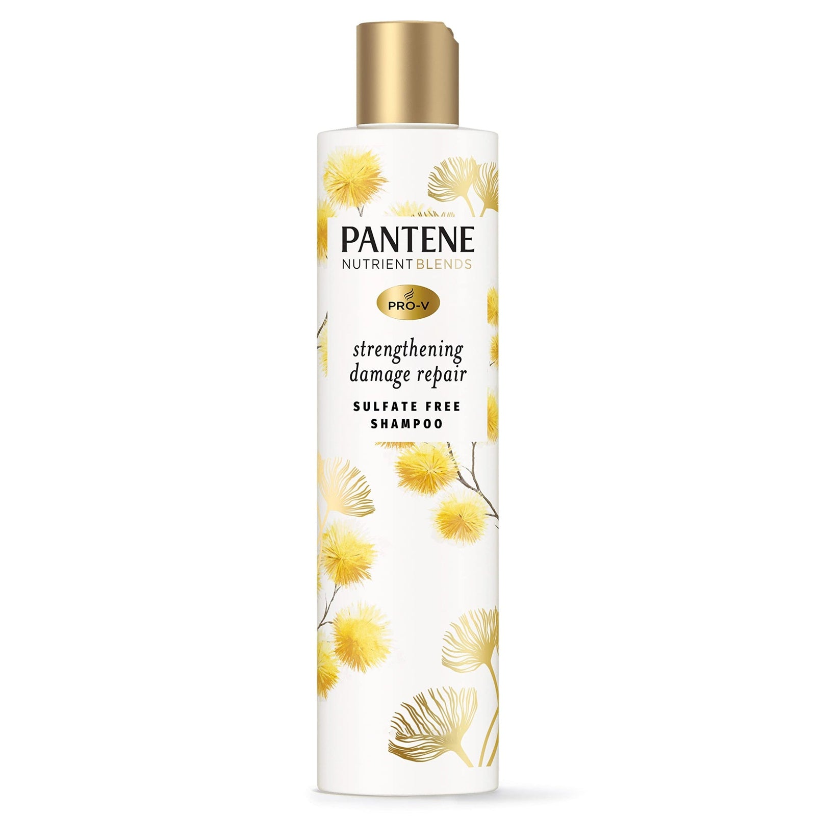 Pantene Sulfate Free Shampoo with Castor Oil (9.6 oz)