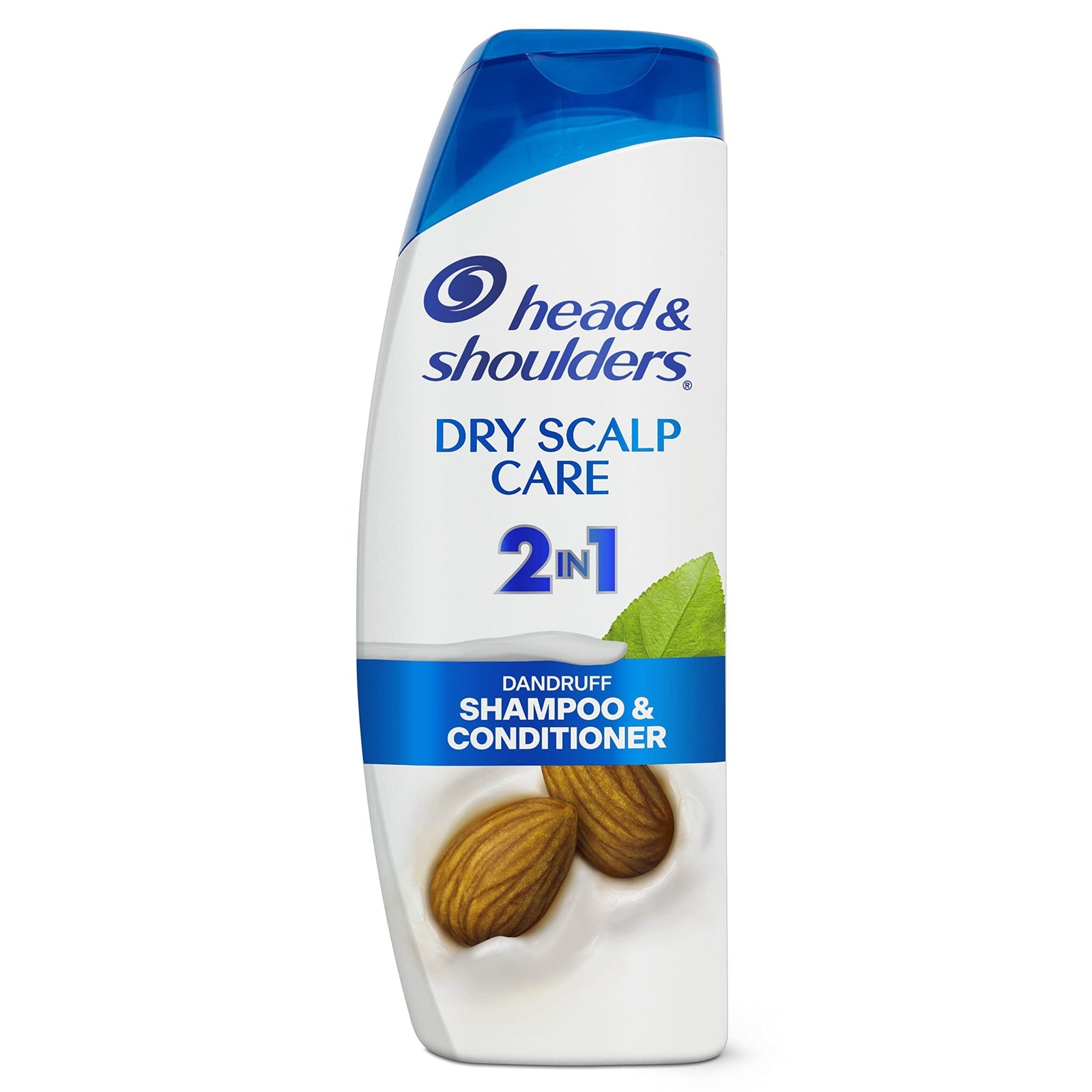 Head & Shoulders 2-in-1 Dry Scalp Care (12.5 oz)