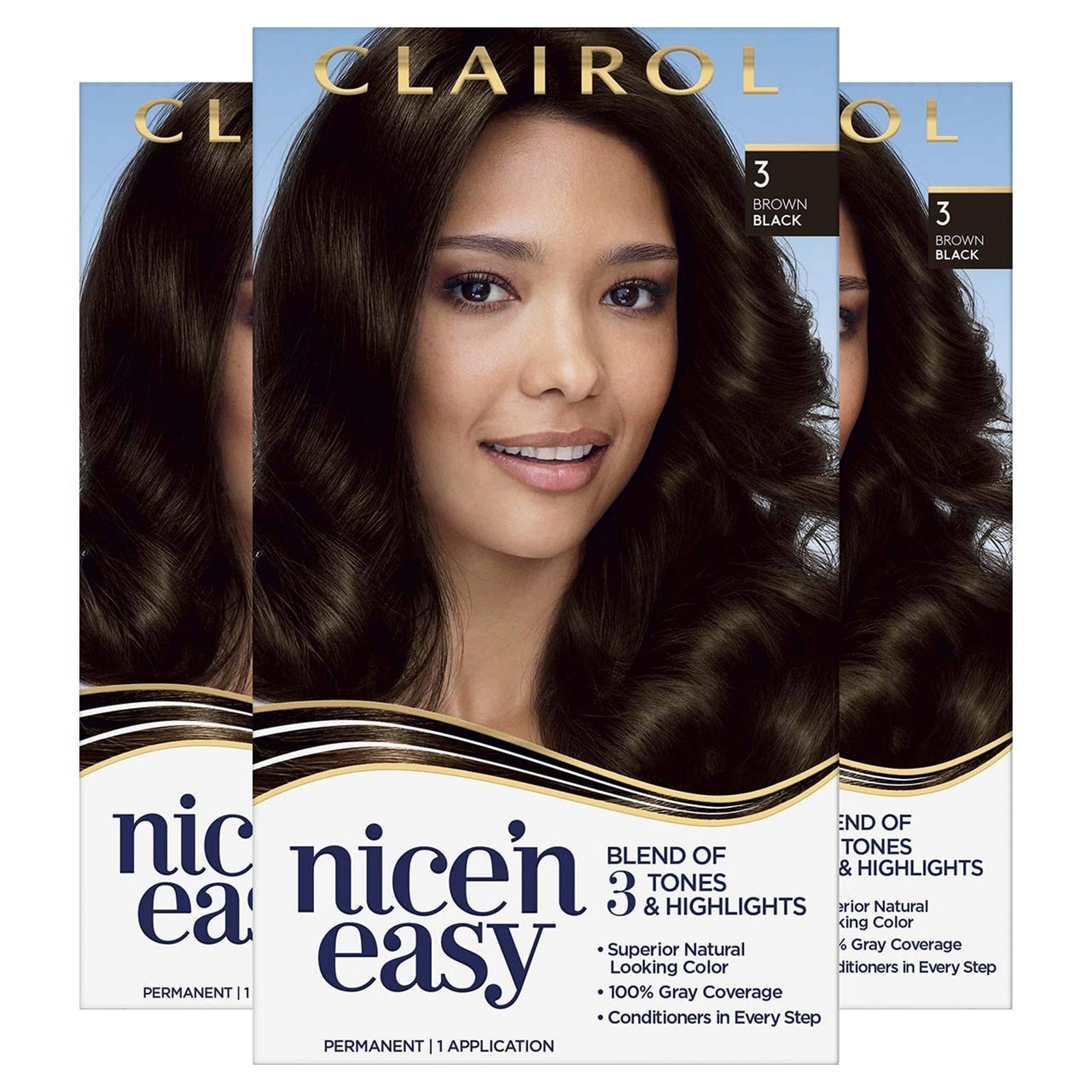 Clairol Hair Dye (Brown Black)