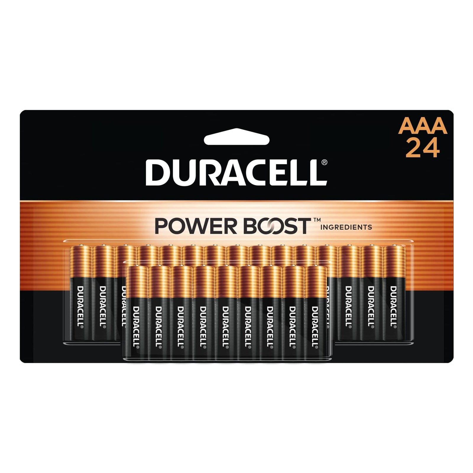 Duracell AAA Batteries (24 Count)