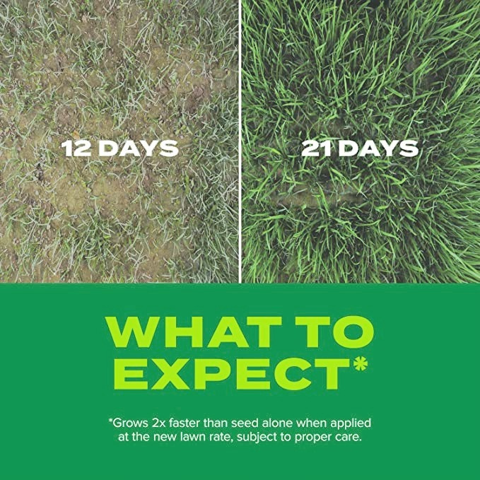 Scotts Turf Builder Rapid Grass Sun & Shade Mix, 16 Lbs. - Grow full, Green Grass In Just Weeks