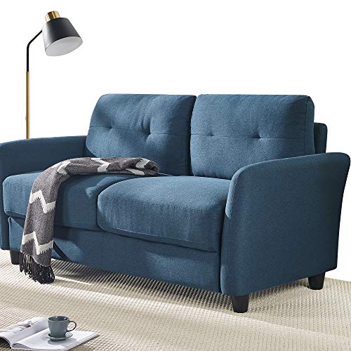 ZINUS Ricardo Loveseat Sofa / Tufted Cushions / Easy, Tool-Free Assembly, Lyon Blue