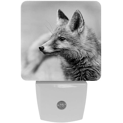 2 Pack Plug-in Nightlight LED Night Light Portrait of A Red Fox, Dusk-to-Dawn Sensor for Kid's Room Bathroom, Nursery, Kitchen, Hallway