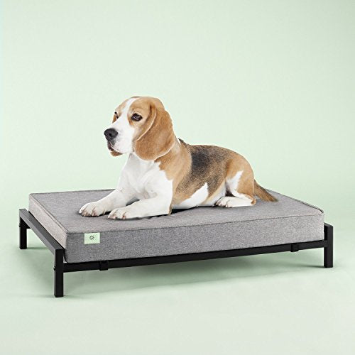 Zinus Mattress Set Pet Bed, Medium