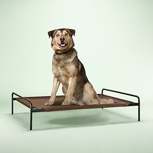 Zinus Elevated Metal Framed Comfort Pet Bed Large in Brown