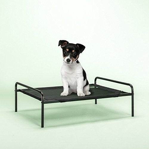 Zinus Elevated Metal Framed Comfort Pet Bed Small in Black