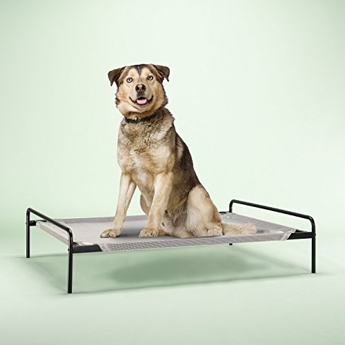 Zinus Elevated Metal Framed Comfort Pet Bed Large in Grey