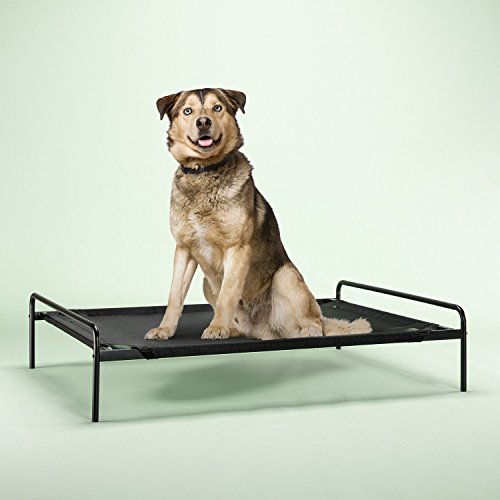 Zinus Elevated Metal Framed Comfort Pet Bed Large in Black