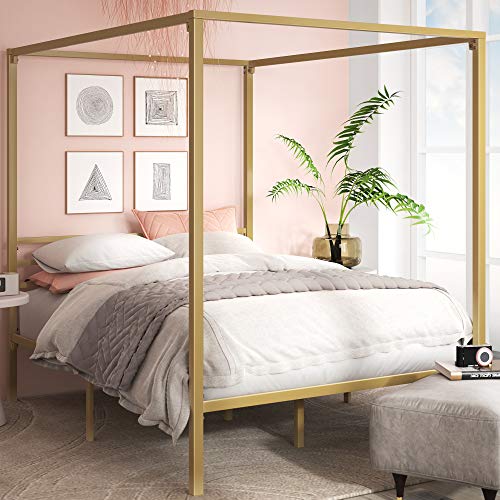 ZINUS Patricia Gold Metal Canopy Platform Bed Frame / Mattress Foundation with Steel Slat Support / No Box Spring Needed / Easy Assembly, Queen