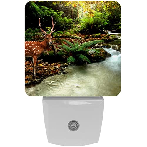 2 Pack Plug-in Nightlight LED Night Light Tropical Forest Stream and Sika Deer, Dusk-to-Dawn Sensor for Kid's Room Bathroom, Nursery, Kitchen, Hallway