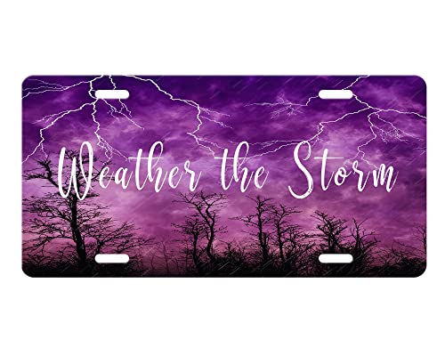 Vanity Decorative Aluminum Front License Plate (Weather the Storm)