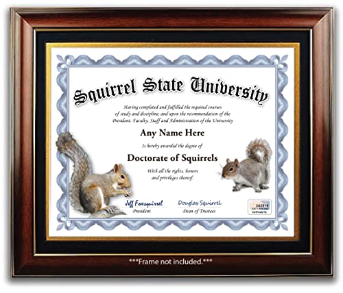 Personalized Squirrel Watcher Certificate - Funny Gag Gift Diploma