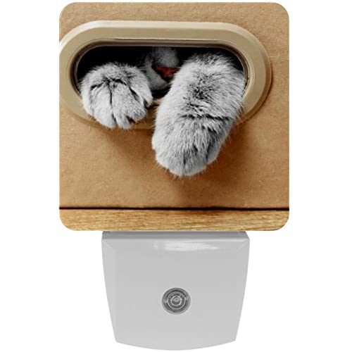 2 Pack Plug-in Nightlight LED Night Light Cute Cat in Cardboard Box, Dusk-to-Dawn Sensor for Kid's Room Bathroom, Nursery, Kitchen, Hallway