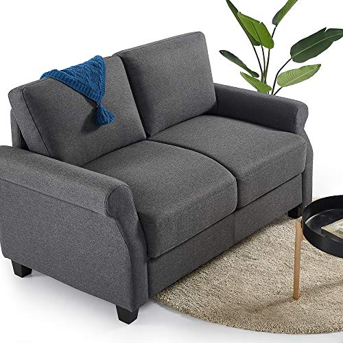 ZINUS Josh Loveseat Sofa / Easy, Tool-Free Assembly, Dark Grey