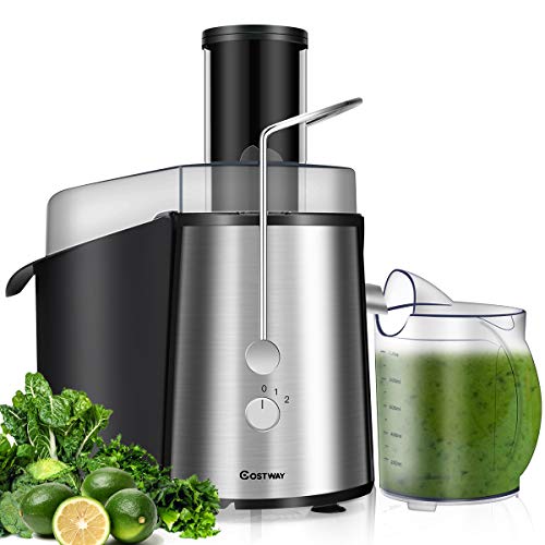 COSTWAY Juice Extractor, 75MM Wide Mouth Stainless Steel Juicer Machines, 2-Speed Setting High Speed Masticating Juicer Machine for Fruits and Vegetable with Slag Pot and Juice Jug, BPA-Free