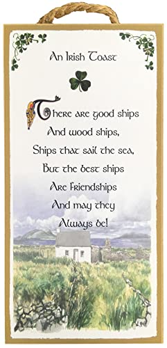 There are Good Ships Wood Ships and Friendships - Irish Toast - 5x10 Inch Hanging Wooden Plaque