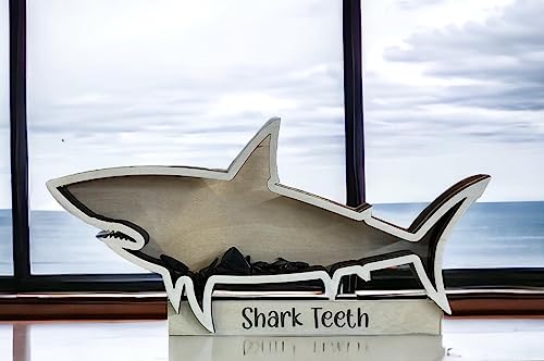 Shark Tooth collection Shark Teeth Shadow Box Beach Home decor (18 inch)