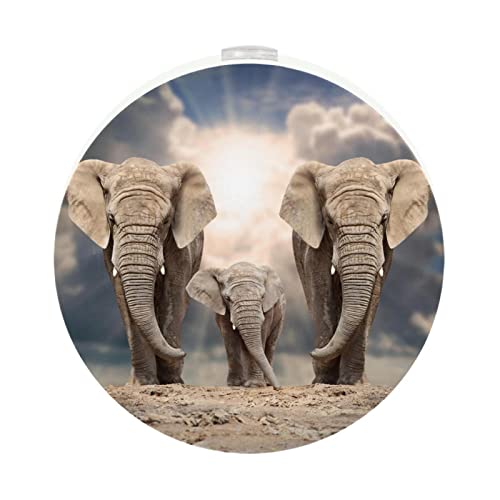 2 Pack Plug-in Nightlight LED Night Light with Dusk-to-Dawn Sensor for Kids Room, Nursery, Kitchen, Hallway Animals African Elephant