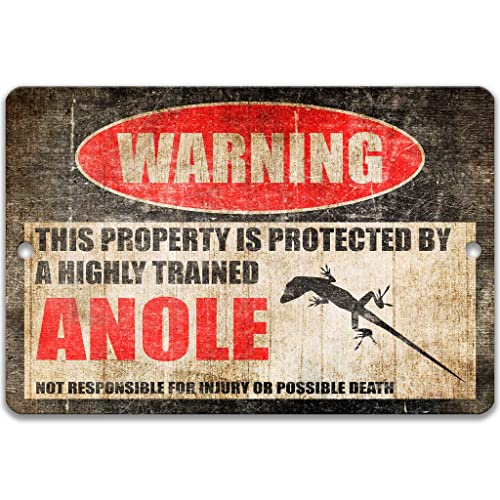 Funny Anole Sign, Reptile Cage Accessories, Pet Lizard Warning Metal Sign