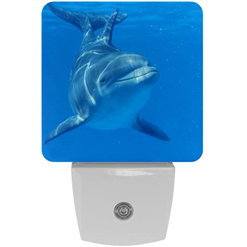 2 Pack Plug-in Nightlight LED Night Light Dolphin in Blue Sea, Dusk-to-Dawn Sensor for Kid's Room Bathroom, Nursery, Kitchen, Hallway