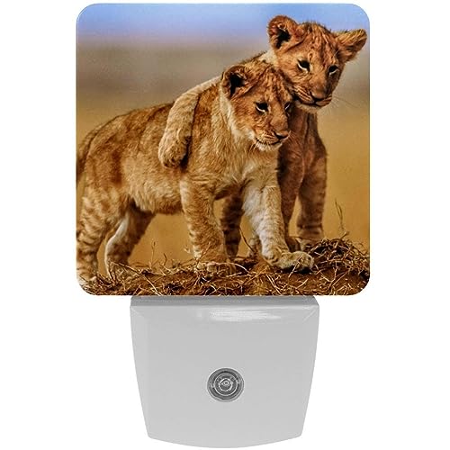 2 Pack Plug-in Nightlight LED Night Light Brotherly Love Lion, Dusk-to-Dawn Sensor for Kid's Room Bathroom, Nursery, Kitchen, Hallway