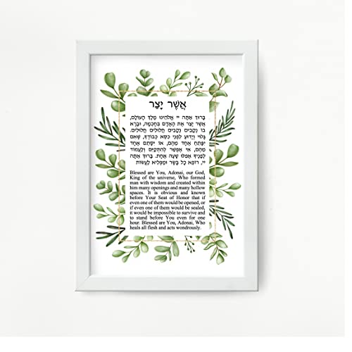 Asher Yatzar Jewish Prayer Health Healing Wall Print Blessing Hebrew and English Leaves Design (8x10, unframed)