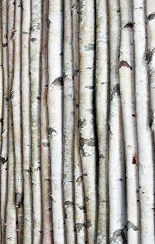 Wilson White Birch Decorative Poles - Natural Wood Bark Kiln Dried Home Décor, 7' L x 1.5-2.5" D (3 Poles)