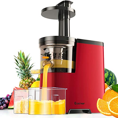 COSTWAY Slow Masticating Juice Machine, Juicer Extractor with Cold Press Masticating Squeezer Mechanism Technology, Quiet Motor and Reverse Function, High Nutrient Fruit and Vegetable Juice, BPA-Free, 60R/M