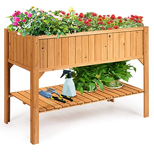 COSTWAY Raised Garden Bed, Wood Planter Box with Storage Shelf and for Vegetables, Flowers & Herbs, 2-Tier Elevated Garden Planter Bed for Backyard, Patio, Balcony, Greenhouse, 47" x 22.5" x 35.5"