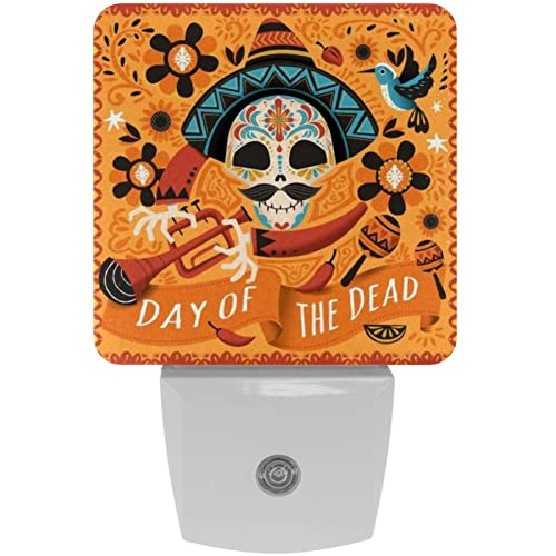 2 Pack Plug-in Nightlight LED Night Light Day of The Dead Poster, Dusk-to-Dawn Sensor for Kid's Room Bathroom, Nursery, Kitchen, Hallway