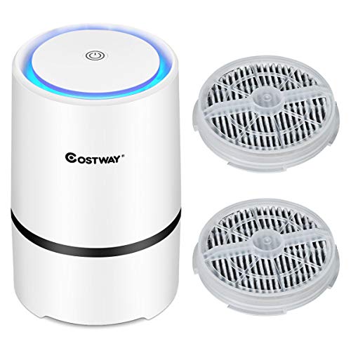 COSTWAY Air Purifier for Home w/Two True HEPA Carbon Filter, Low Noise, Night Light, Aromatherapy Diffuser With USB Cable (1*Air purifier)