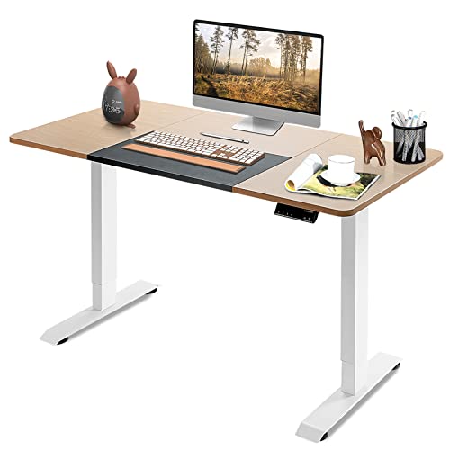 COSTWAY 55x28 Inches Electric Standing Desk, Height-Adjustable Stand-up Desk w/Smart Controller & 4 Memory Settings, Ergonomic Computer Workstation w/Built-in Cable Hole, for Home Office