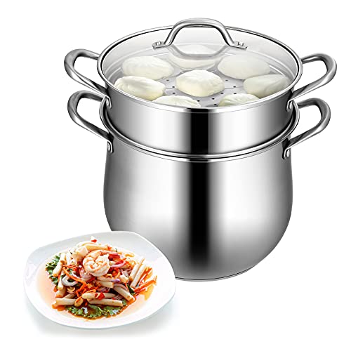 COSTWAY 2-Layer Stainless Steel Steamer, 11Ó Cookware Steamer with Tempered Glass Lid & Loop Handles, Saucepot for Soup and Steaming Food, Work on Gas, Grill Stove