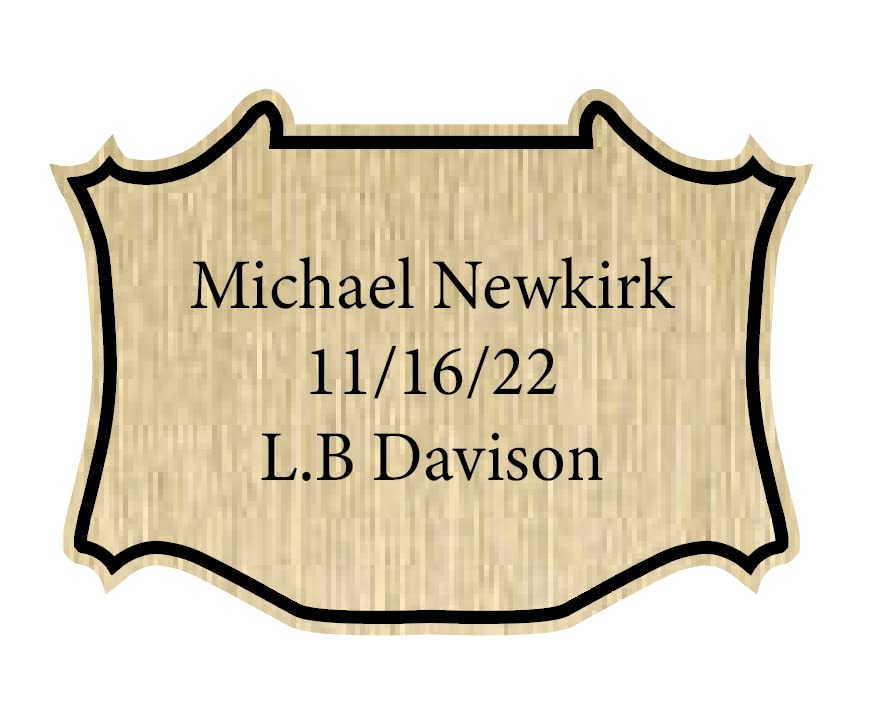 Custom engraved plaques for deer mounts, trophies, fish mounts, memorial plaques, and more! (Gold finish, Style 4)