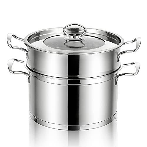 COSTWAY 2-Tier Stainless Steel Steamer, 11-Inch with Handles on Both Sides, with Tempered Glass Lid, Work with Gas, Electric, Grill Stove Top, Dishwasher Safe (9.5)