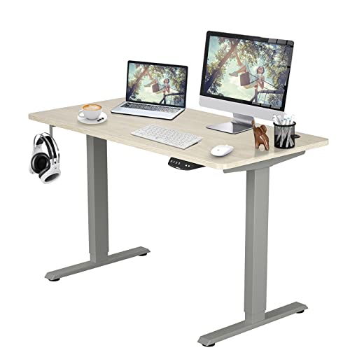 COSTWAY Dual Motor Electric Stand Up Desk, Height Adjustable Standing Desk w/Solid One-Piece Desktop & Memory Controller, Home Office Sit-to-Stand Computer Workstation (Gray + Natural, 48''X24'')