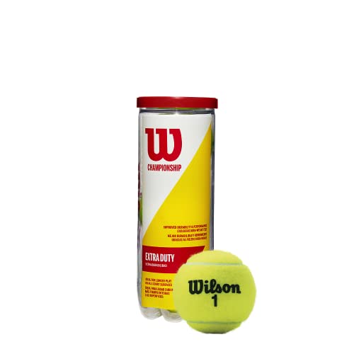 WILSON Championship Extra-Duty Hard Court Tennis Balls