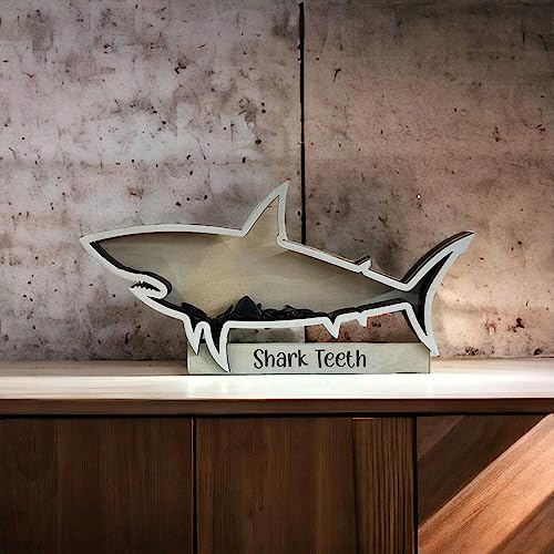 Shark Tooth collection Shark Teeth Shadow Box Beach Home decor (6 inch)