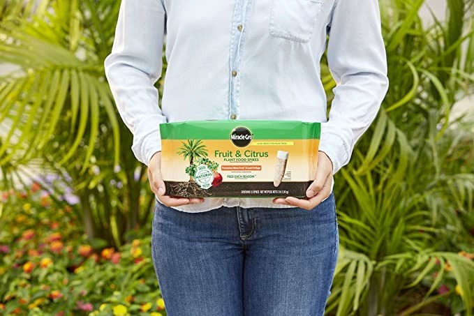 Miracle-Gro Fruit & Citrus Plant Food Spikes,12 Spikes - Promotes More Fruit & Lush Foliage