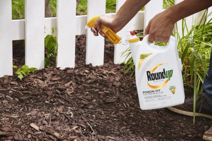 Roundup Ready-To-Use Poison Ivy Plus Brush Killer, 1 Gal. - Kills Even the Toughest Weed