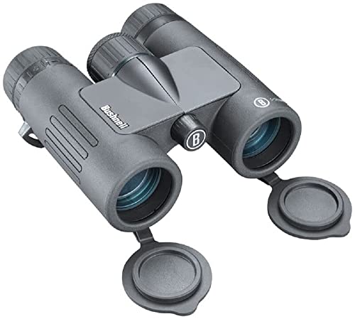 Bushnell 8x32 Black Roof Prism FMC, WP/FP, Twist-up Eyecups, Box 6L