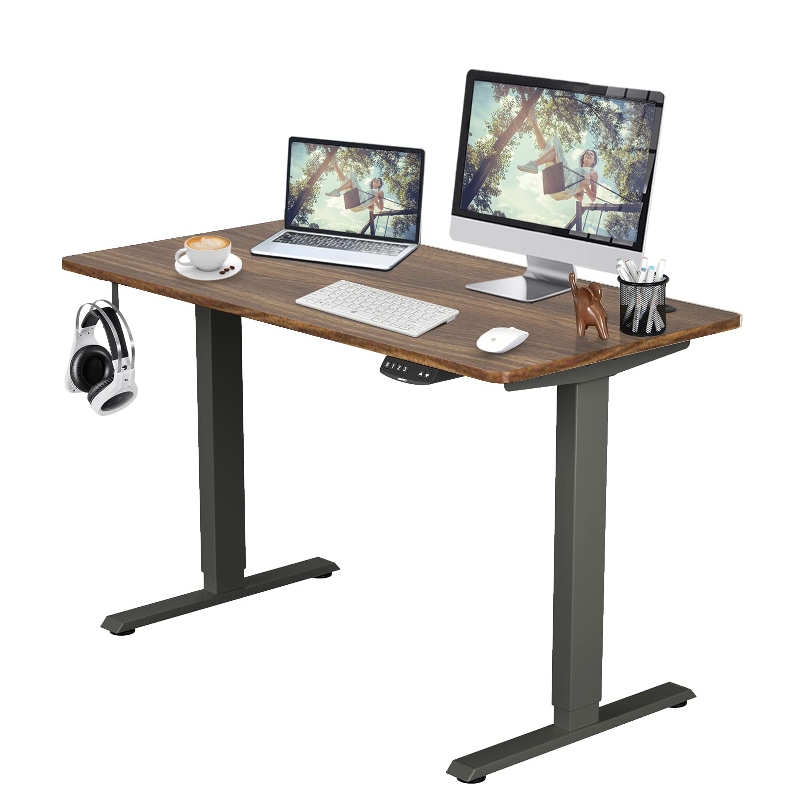 COSTWAY Dual Motor Electric Stand Up Desk, Height Adjustable Standing Desk w/Solid One-Piece Desktop & Memory Controller, Home Office Sit-to-Stand Computer Workstation (Black, 48''X24'')